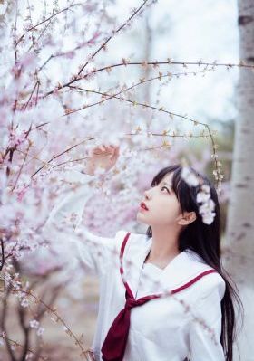 咒术回_高清免费HD高清完整电影